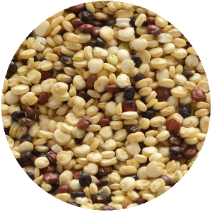 Quinoa Grain Bowl